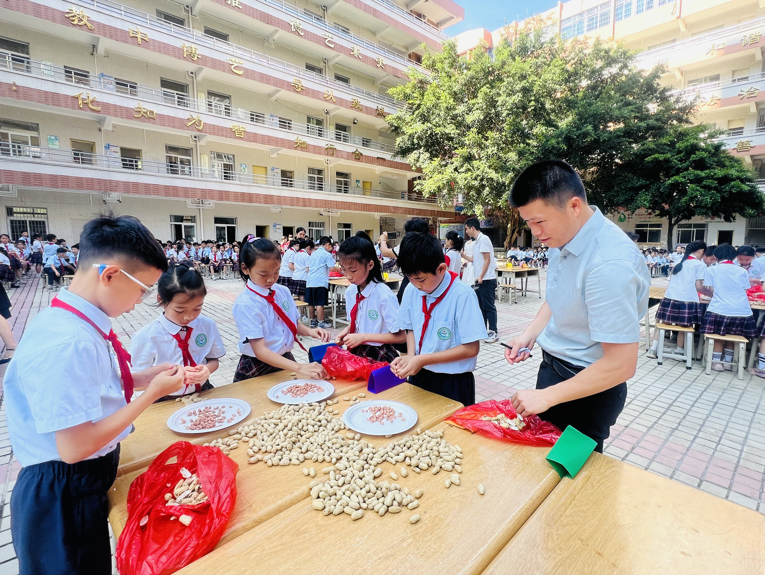 湛江经开区二小  供图11 (3).jpg